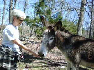 Nan makes friends