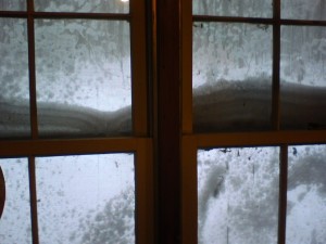 snowstorm at the back window